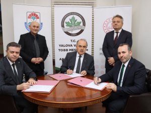 Öğrencilerin Yetiştirdiği Çiçekler Yalova Sokaklarını Süsleyecek