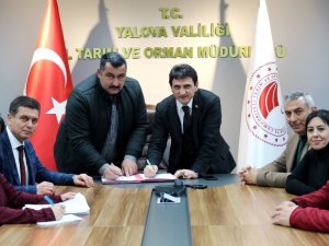 Yalova Kıvırcığı Koyununda 3. Dönem Başladı