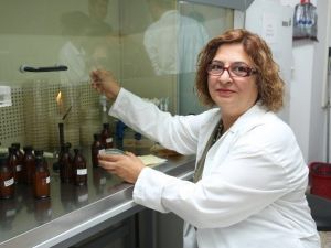 Gıda Güvenliğinde Bilgi Kirliliği