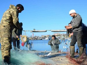 Karadeniz’in İncisi Çinekop, Yeni Yılın İlk Ayında Yüzleri Güldürdü