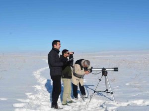 Tarım Ve Orman Bakanlığı Kış Ortası Su Kuşu Sayımını 15 Ocak - 15 Şubat Tarihlerinde Yapacak