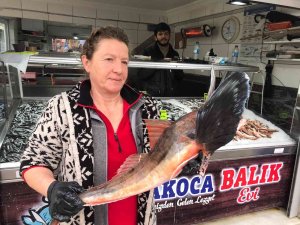 Kilosu 250 Liradan Tezgahta Yerini Aldı