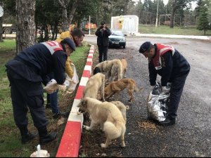 Edirne Jandarması Sokak Hayvanlarını Yalnız Bırakmadı