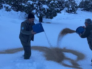 Doğada Yaşayan Hayvanlar Unutulmadı, Yoğun Kar Yağan Bölgelere Yem Bırakıldı