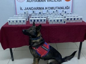 Jandarma Kaçak Sigara Ele Geçirdi