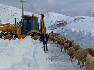 Yaylada Koyunlarıyla Birlikte 3 Gün Mahsur Kalan Çobanı Belediye Ekipleri Kurtardı