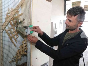 Bitkin Halde Bulup Beslediği Sincap Atölyenin Maskotu Oldu