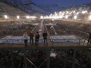 Zincidere 100. Yıl Mesire Alanı Gece Işıl Işıl