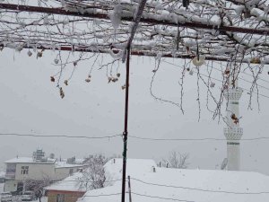 Diyarbakır’da Yılın İlk Karı Her Yeri Beyaza Bürüdü