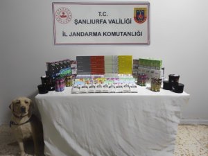 Şanlıurfa’da Şok Yol Uygulaması