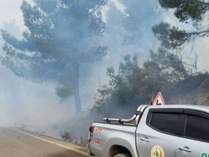Hatay’da Çıkan Orman Yangını Kontrol Altına Alındı