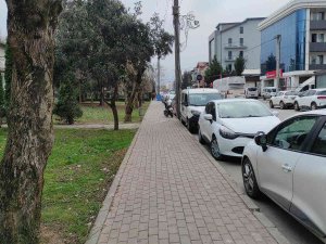 İ̇zmit’te Köpeğe Şiddet Uygulayan 2 Şahıs Yakalandı