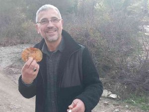 Muğla’da Vatandaşlar Hafta Sonunu Dağlarda Çıntar Mantarı Toplayarak Geçirdi