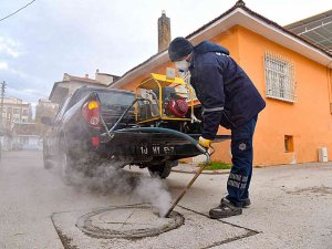 Karesi’de Haşere İle Mücadele Sürüyor