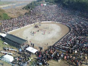 41. Uluslararası Efes Selçuk Deve Güreşleri Festivali Sona Erdi