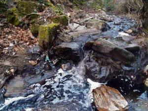 "Aydın’ın Dağlarından Yağ, Derelerinden Kara Sular Akmaya Başladı"