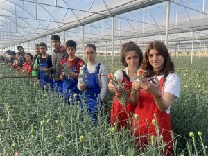 Tarım-üfe Yıllık Yüzde 151,03 Arttı