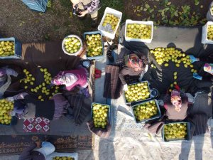 Tarım-üfe Yıllık Yüzde 151,03 Arttı