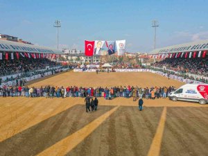 On Binler Deve Güreşi Heyecanını Hep Birlikte Yaşadı