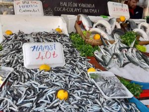 Vatandaşlar Fiyatı Düşen Hamsiye Yöneldi