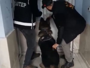 Polis Kaçakçılara Göz Açtırmıyor