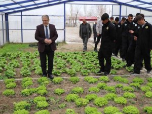 Tarım Lisesinde Öğrenciler Modern Tarımı Uygulamalı Öğreniyor