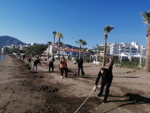 Marmaris Sahilde Temizlik Çalışması Yapıldı
