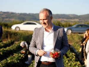 İ̇negöl Tarımı Şahlanıyor