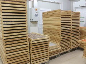 Ata Tohumu Buğday Yetiştirip, Unundan Ürettiği Makarnalar İle Taleplere Yetişemiyor