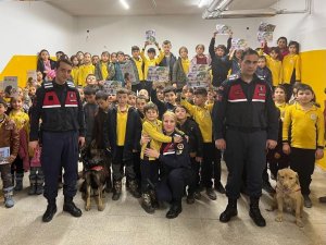 Ders; Akran Zorbalığı