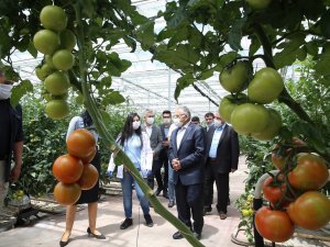Büyükşehir, 1 Yılda 13 Milyon Kilogram Evsel Atığı Bertaraf Etti
