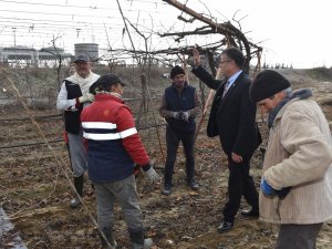 Başkan Öküzcüoğlu’ndan Üzüm İşçilerine Bere Hediyesi