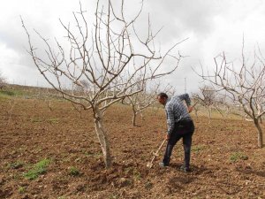 Kuraklık Baş Gösterdi, Çiftçilere Yağmur Duasına Çıkın Çağrısı