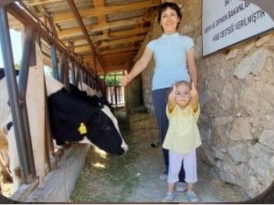 Uzman Eller Projesi Hibe Miktarı 250 Bin Liraya Yükseltildi