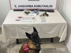 60 Yaşındaki Şahıs Uyuşturucu Operasyonunda Yakalandı