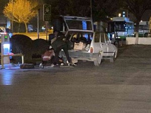 Kayseri Usulü Kriko