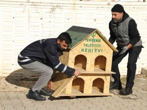 Diyarbakır’da Sokak Hayvanları İçin 200 Adet Ev Yerleştirildi
