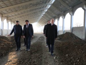Başkan Özlü Devam Eden Projelere İnceledi