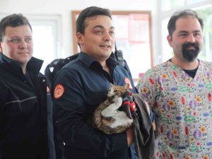 İ̇tfaiye Ekipleri Kurtardıkları Kediyi Sahiplendi