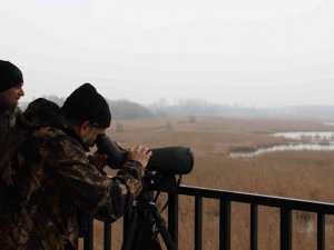 Efteni’de Kuşlar Sayıldı