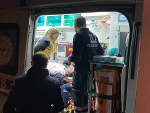 Hafif Ticari Otomobil Ağaçların Arasına Daldı: 1 Yaralı