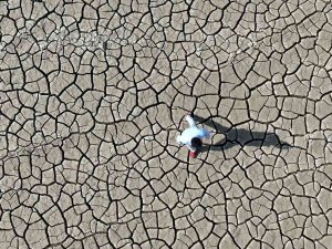 Çiftçilere ‘Kuraklık’ Uyarısında Bulunularak Tarım Sigortasına Dikkat Çekildi