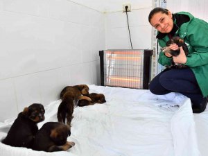 Mersin’de Bin 100 Patili Dosta Sıcak Yuva Sağlandı