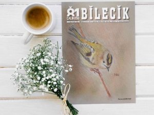 ’Çalıkuşu Bilecik’ Dergisinin Kapak Tasarımı 11’inci Sınıf Öğrencisi Yaptı