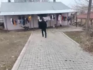 Bir İlçe Seferber Olup Zihinsel Engelli Kayıp Kadını Aradı, Gerçek Sonradan Ortaya Çıktı