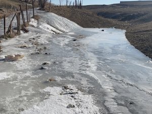 Kar Yağmayan Kentte Don Etkili Oluyor