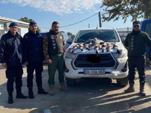 Koruma Altındaki Kuşları Avlayan 6 Kişi Yakalandı