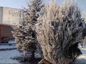 Özalp’ta Termometreler Eksi 15 Dereciyi Gördü