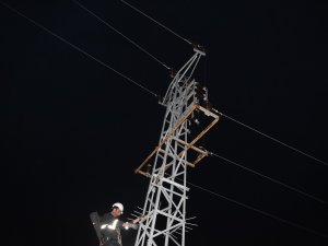 Yüksek Gerilim Hattına Kapılan Şahin 9 Köyün Elektriğini Kesti
