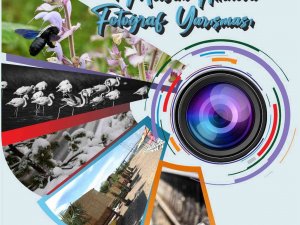 Altınova Fotoğraf Yarışması Başvuruları Başladı